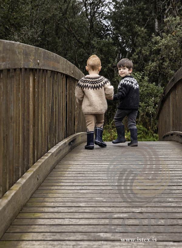 ÆSA